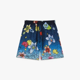 Collage D’icones Graphiques Seidenshorts