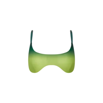 Gradient Bikini-BH