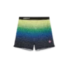 Gradient Shorts