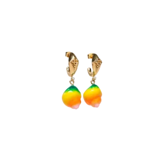 Muschel-Ohrringe Muschel-Ohrringe